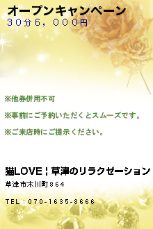 オープンキャンペーン:猫LOVE | 草津のリラクゼーション